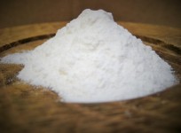 Ground Arrowroot