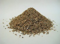 Celery Seed
