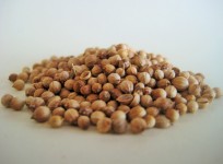 Coriander Seed