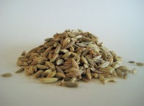 Fennel Seed