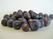 Juniper Berries
