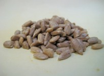 Sunflower Seed