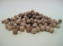White Peppercorns
