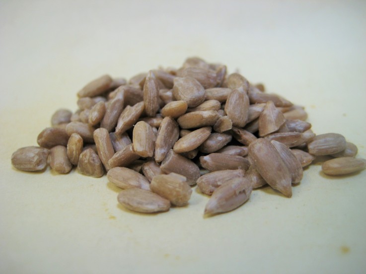 Rye Spice Sunflower Seed