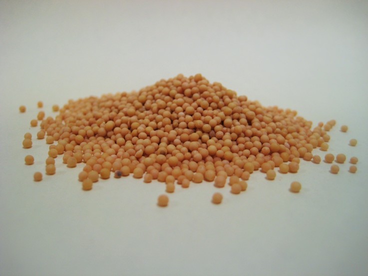 Rye Spice Yellow Mustard Seed