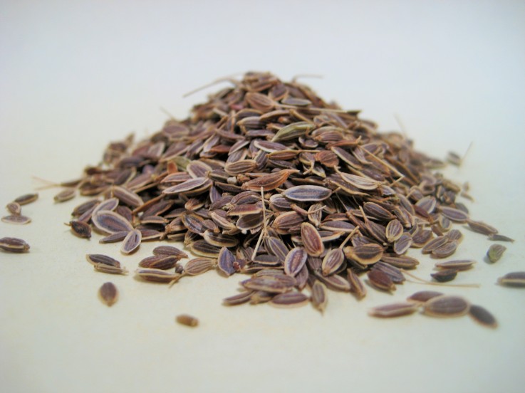 Rye Spice Dill Seed