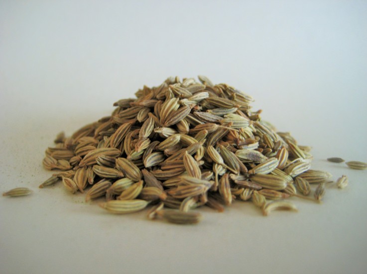 Rye Spice Fennel Seed