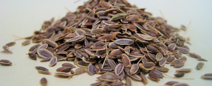 Rye Spice Dill Seed