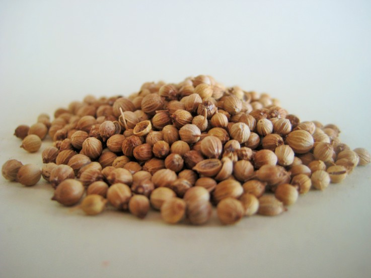 Rye Spice Coriander Seed