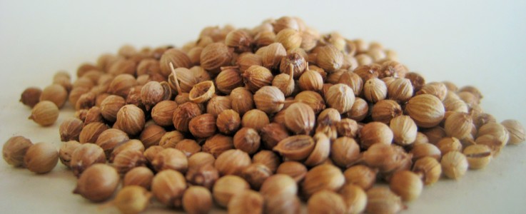 Rye Spice Coriander Seed